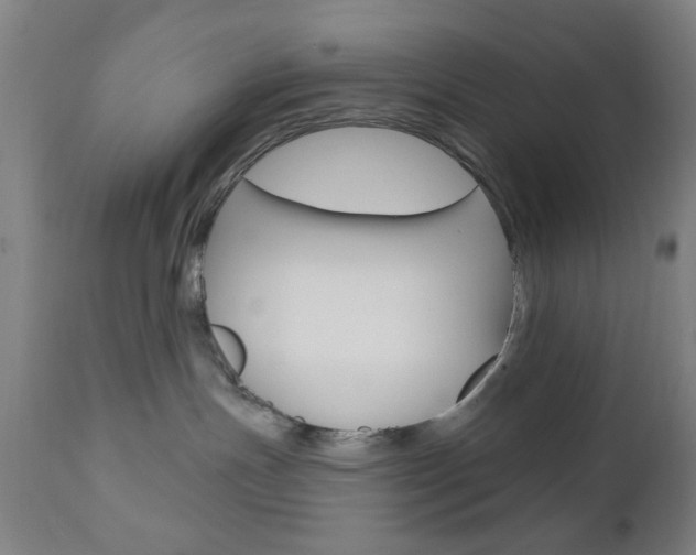 X0000110860191200906180954
