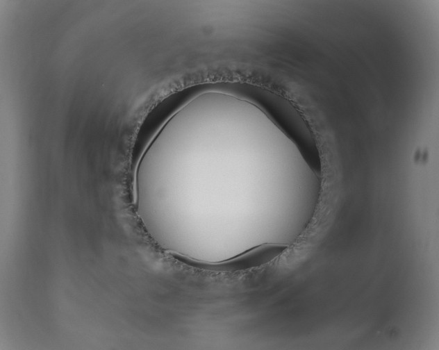 X0000110860192200906180954