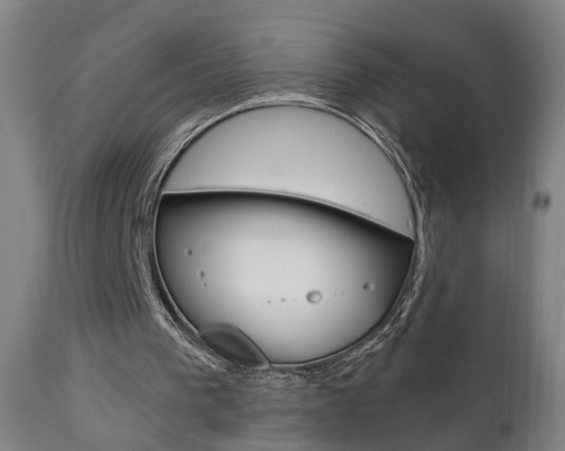 X0000110860193200906180953