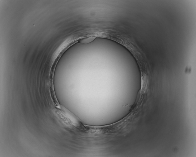 X0000110860195200906180953