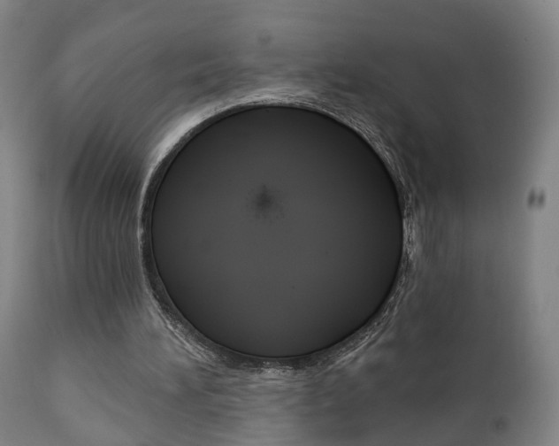 X0000110860196200906180953