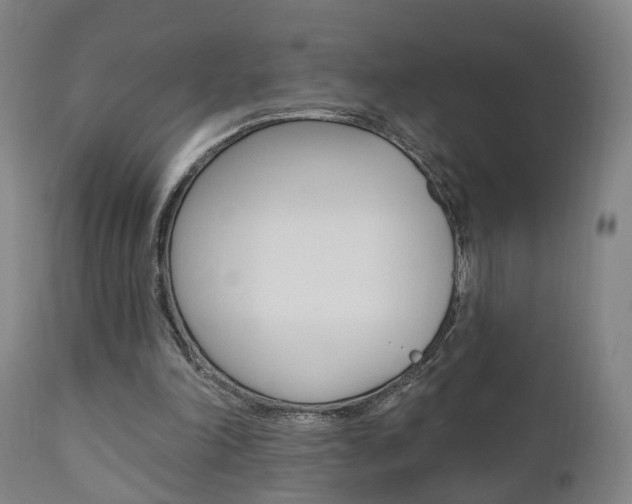 X0000110860198200906180953