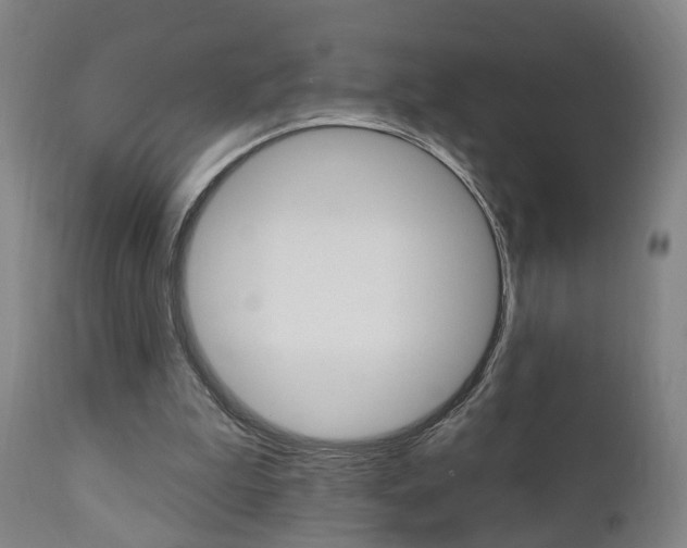 X0000110860199200906180953