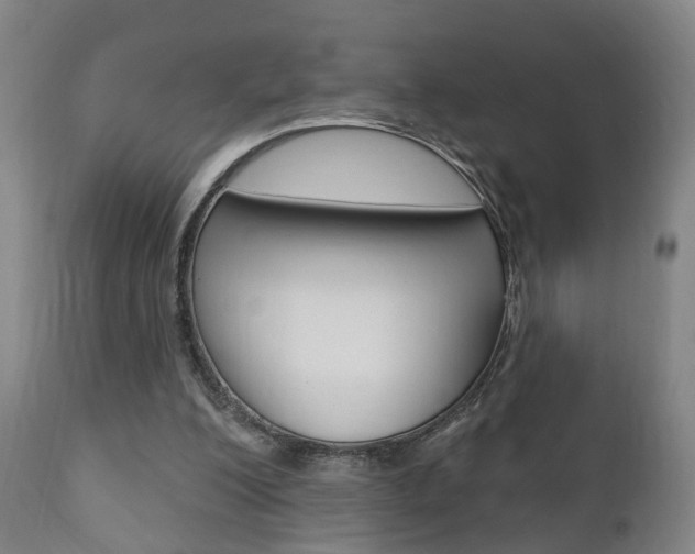X0000110860200200906180953