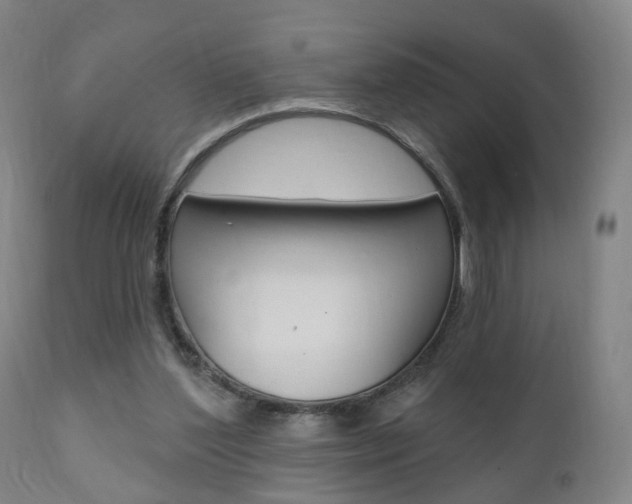 X0000110860204200906180953