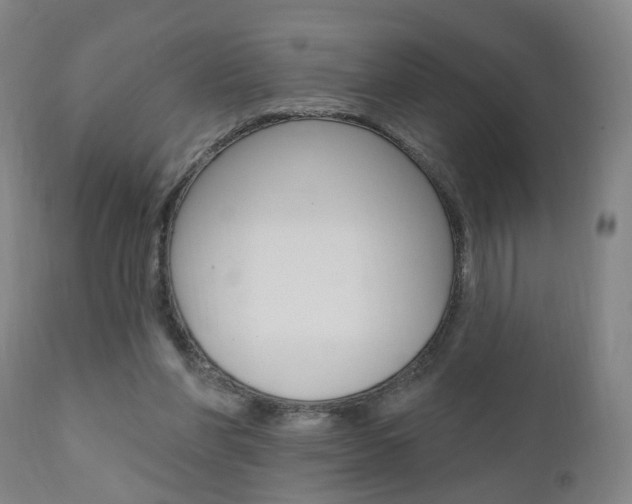 X0000110860206200906180953