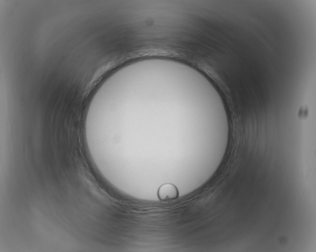 X0000110860207200906180953