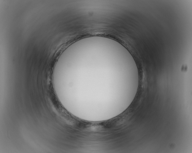 X0000110860210200906180953