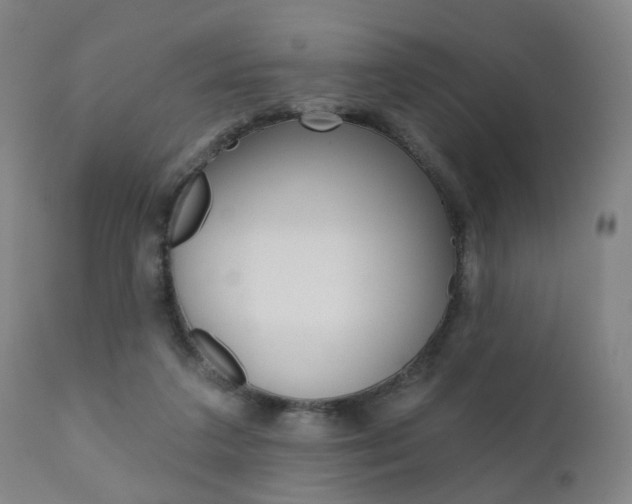 X0000110860211200906180953