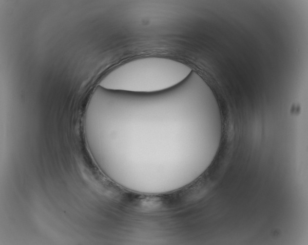 X0000110860214200906180953