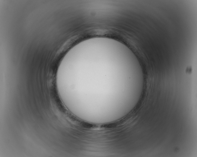 X0000110860216200906180953