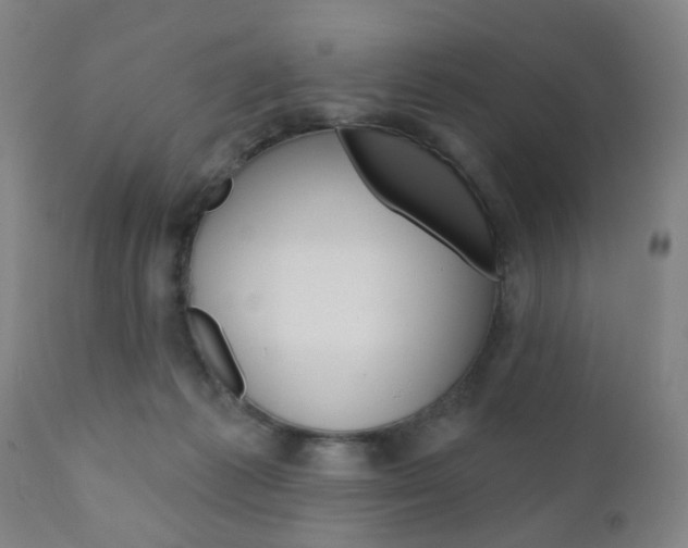 X0000110860221200906180953