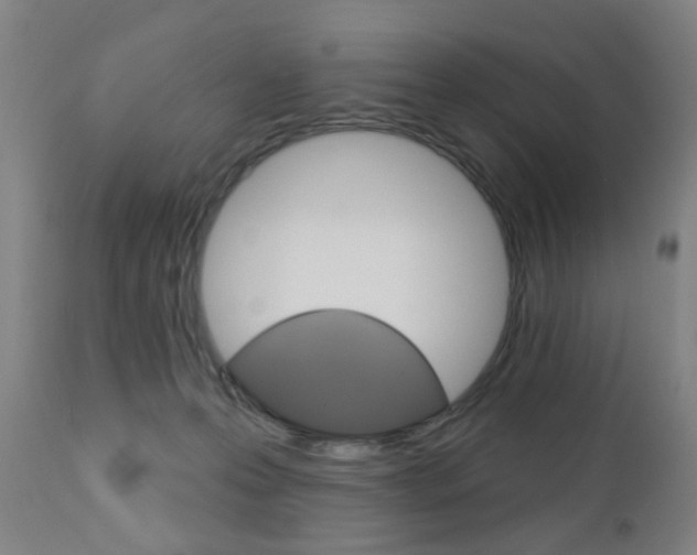 X0000110860223200906180953