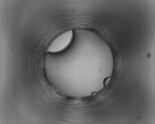 X0000110860224200906180953