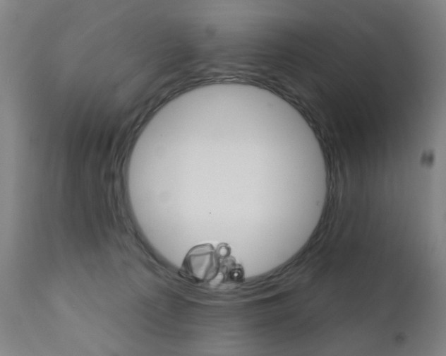 X0000110860225200906180953