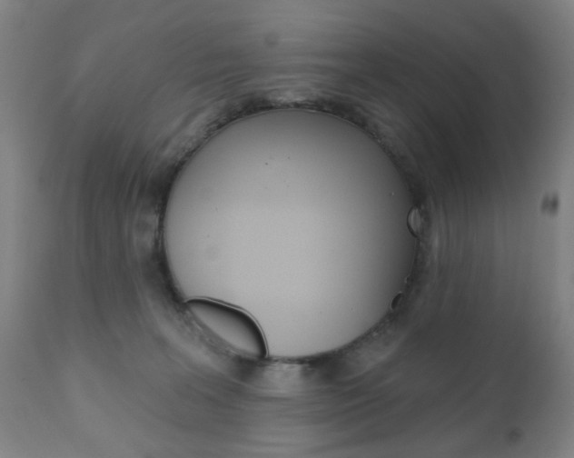X0000110860227200906180953