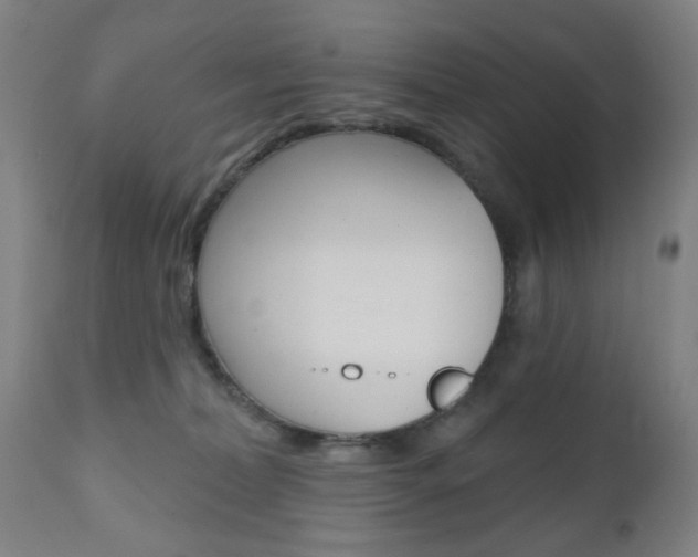 X0000110860228200906180953