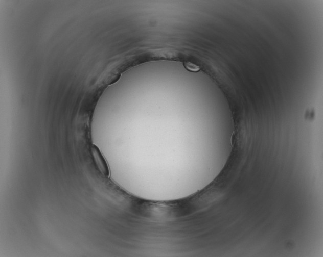 X0000110860229200906180953