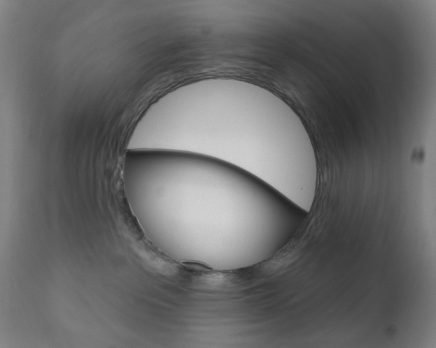 X0000110860237200906180953