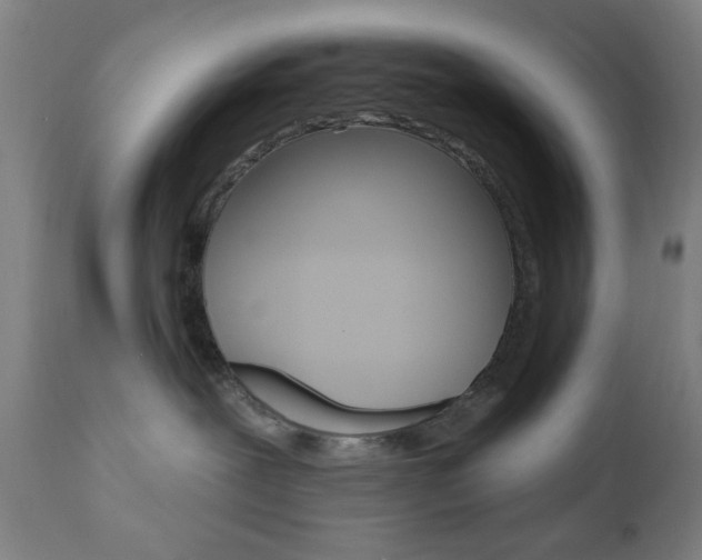 X0000110860239200906180953