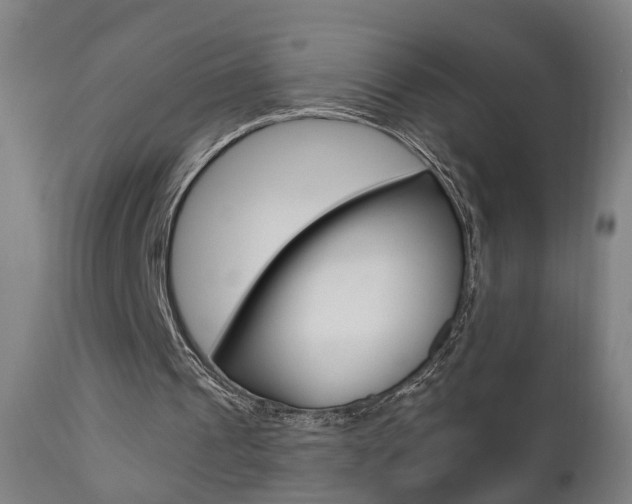 X0000110860241200906180952