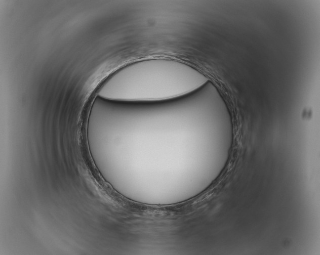 X0000110860242200906180952