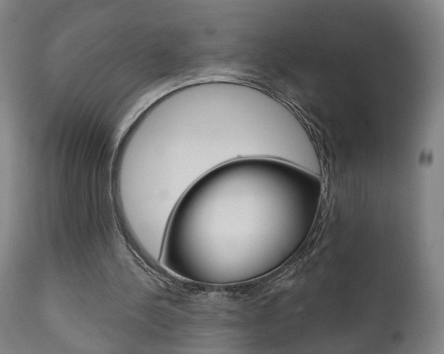 X0000110860244200906180952