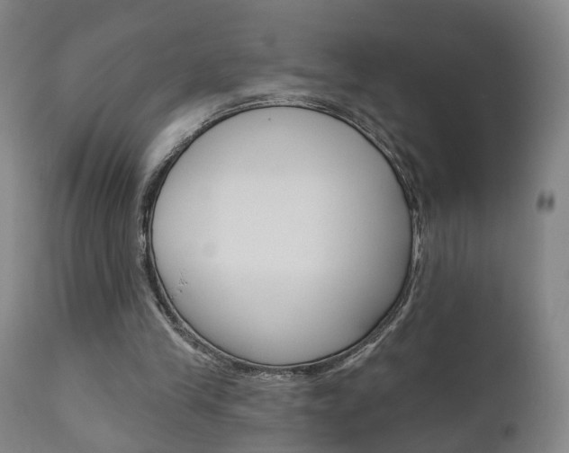 X0000110860245200906180952