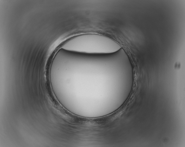 X0000110860246200906180952