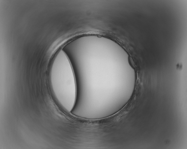 X0000110860247200906180952