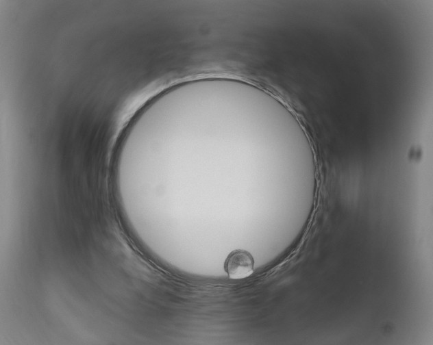 X0000110860248200906180952