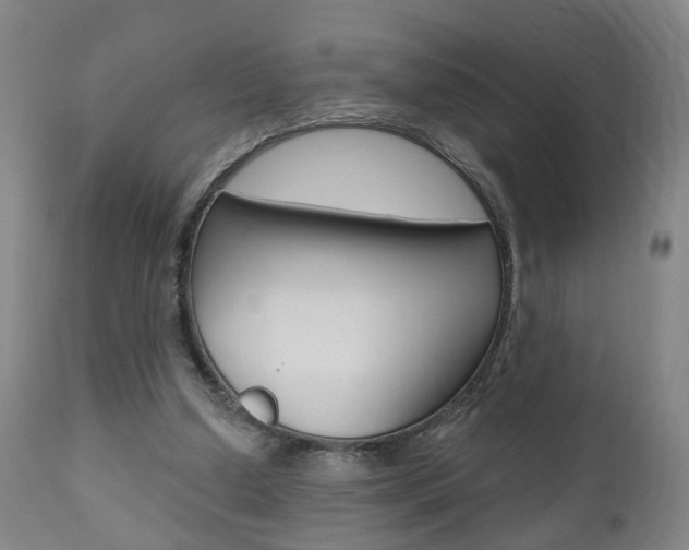 X0000110860250200906180952