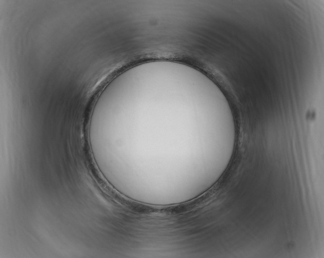 X0000110860251200906180952