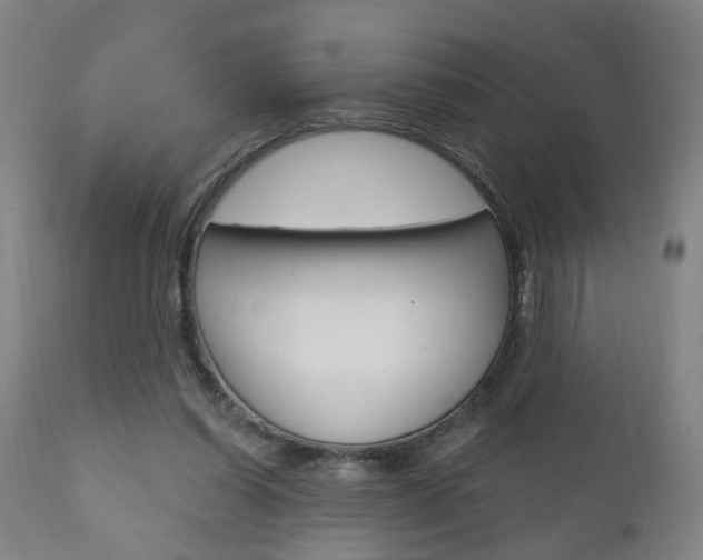 X0000110860254200906180952