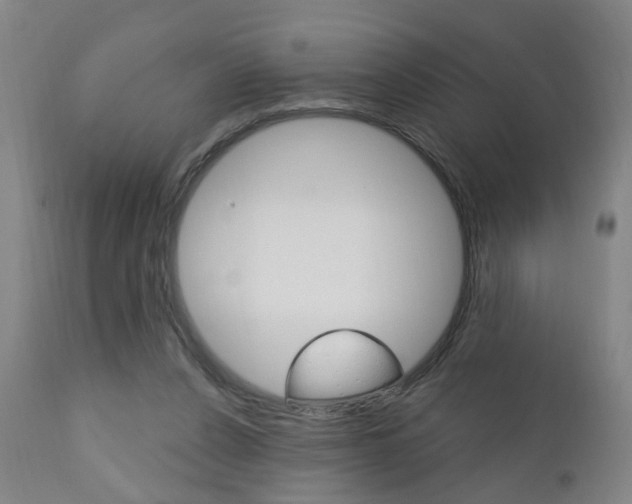 X0000110860256200906180952