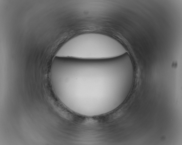 X0000110860257200906180952
