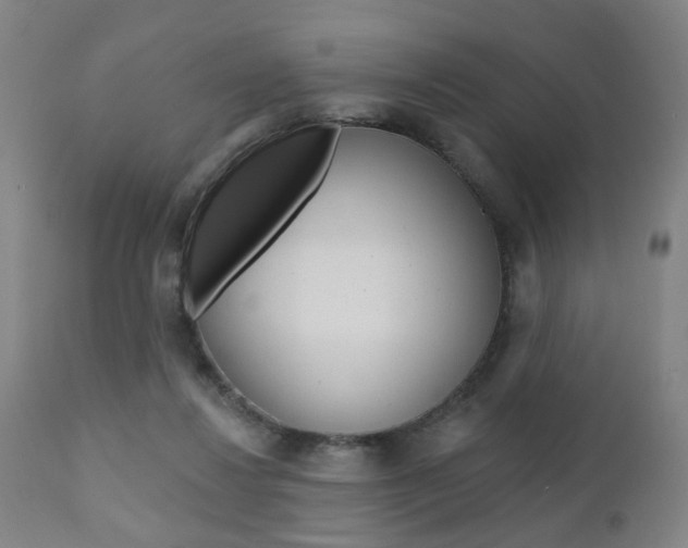 X0000110860260200906180952