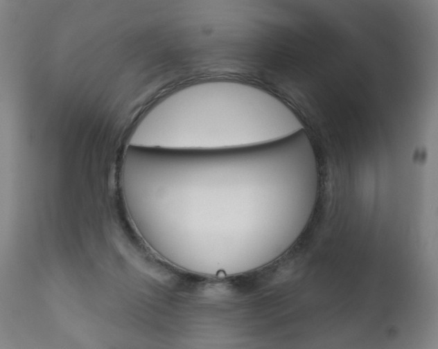 X0000110860262200906180952