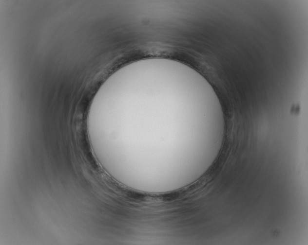 X0000110860263200906180952
