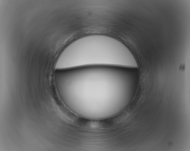 X0000110860264200906180952