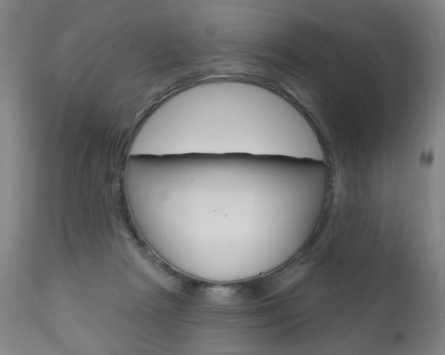 X0000110860265200906180952