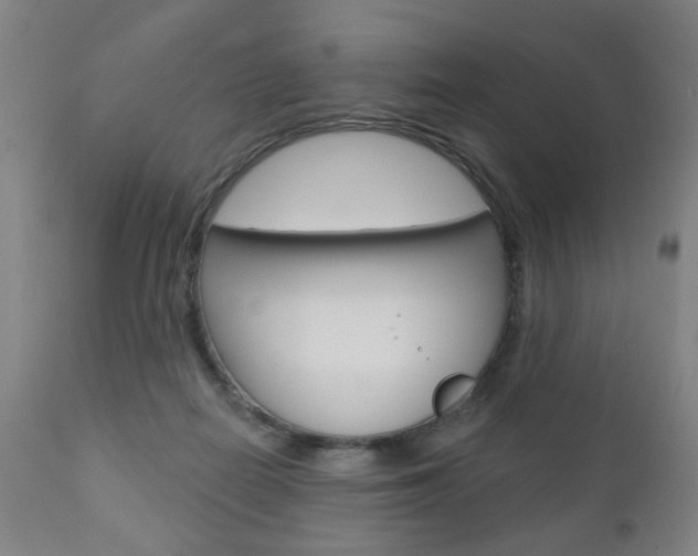 X0000110860266200906180952