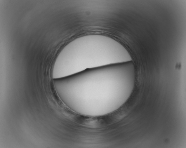 X0000110860267200906180952