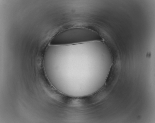 X0000110860268200906180952