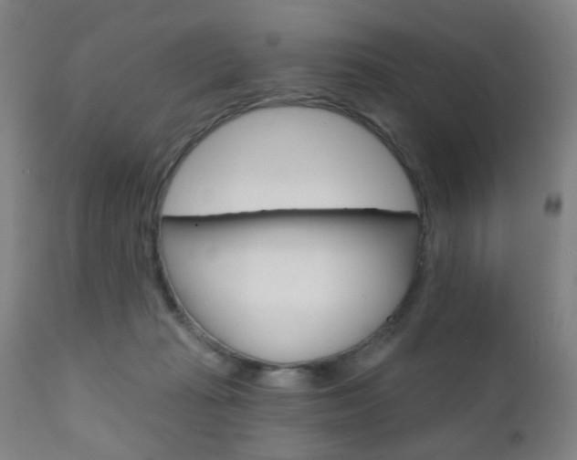 X0000110860269200906180952