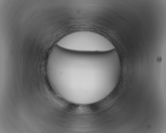 X0000110860270200906180952