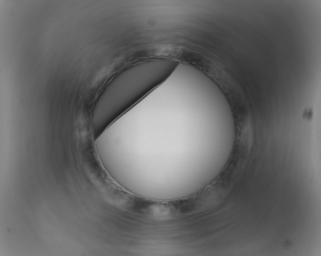 X0000110860272200906180952