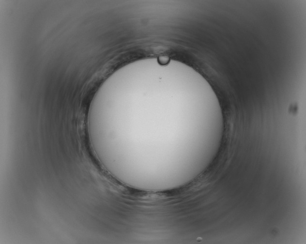 X0000110860274200906180952