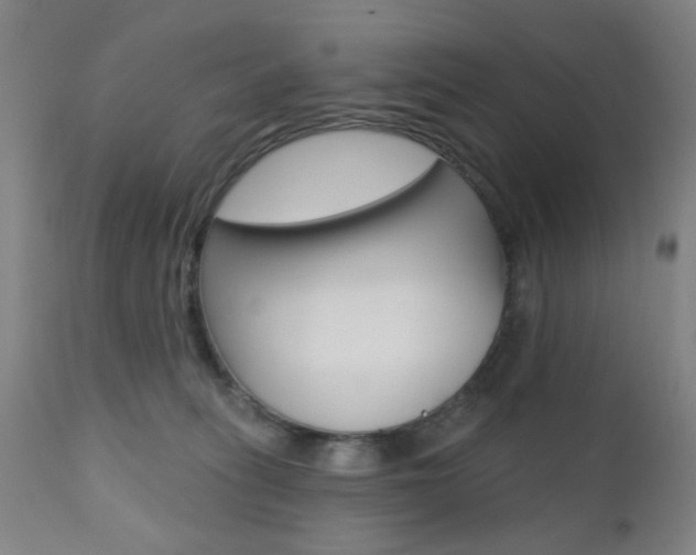 X0000110860275200906180952