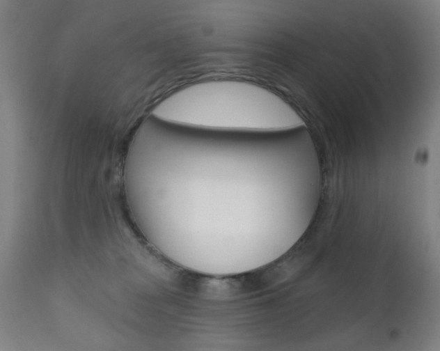 X0000110860277200906180952